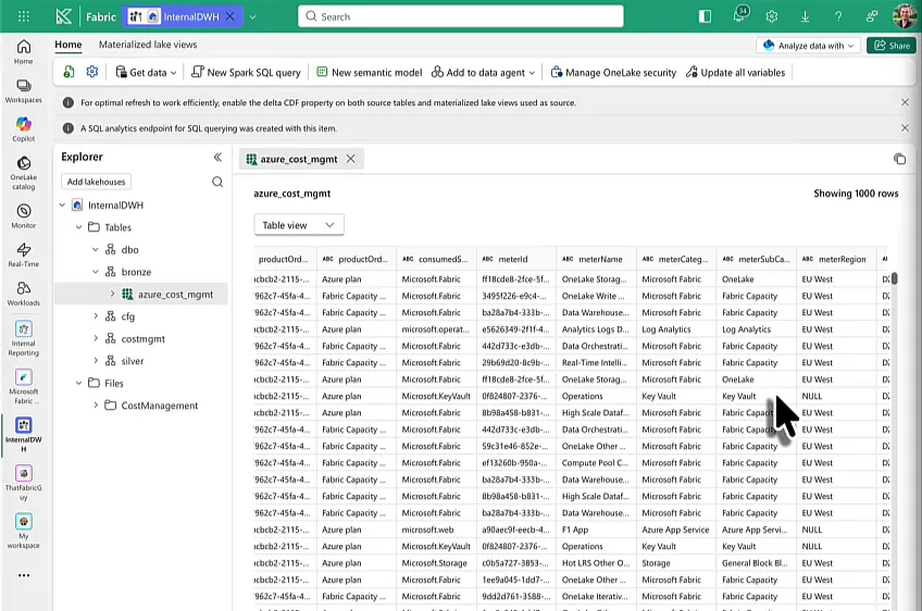 Fabric lakehouse explorer for InternalDWH with the bronze schema expanded and the azure_cost_mgmt table open, showing columns such as consumedService, meterId, meterName, meterCategory, meterSubCategory and meterRegion