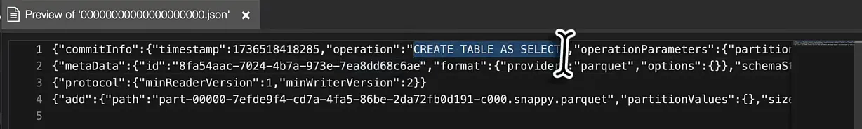 Preview of 00000000000000000000.json with the commitInfo, metaData, protocol and add entries on four lines